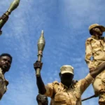 The UAE's Rapid Support in Sudan A Call for Immediate Action