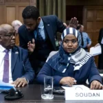 Sudan tells ICJ UAE is primary driving force behind Darfur atrocities
