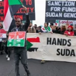 UN expert report expose UAE’s arms supply to RSF through Chad