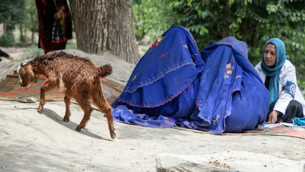 Taliban systematically stripping Afghan women of rights