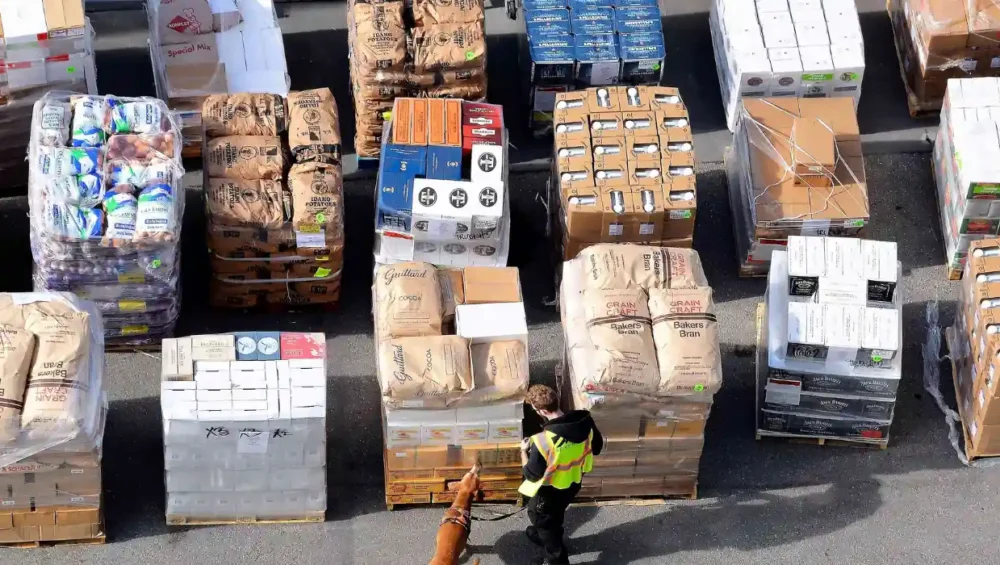 Cocaine’s Dark Flow Financing Global Terrorism in 2025