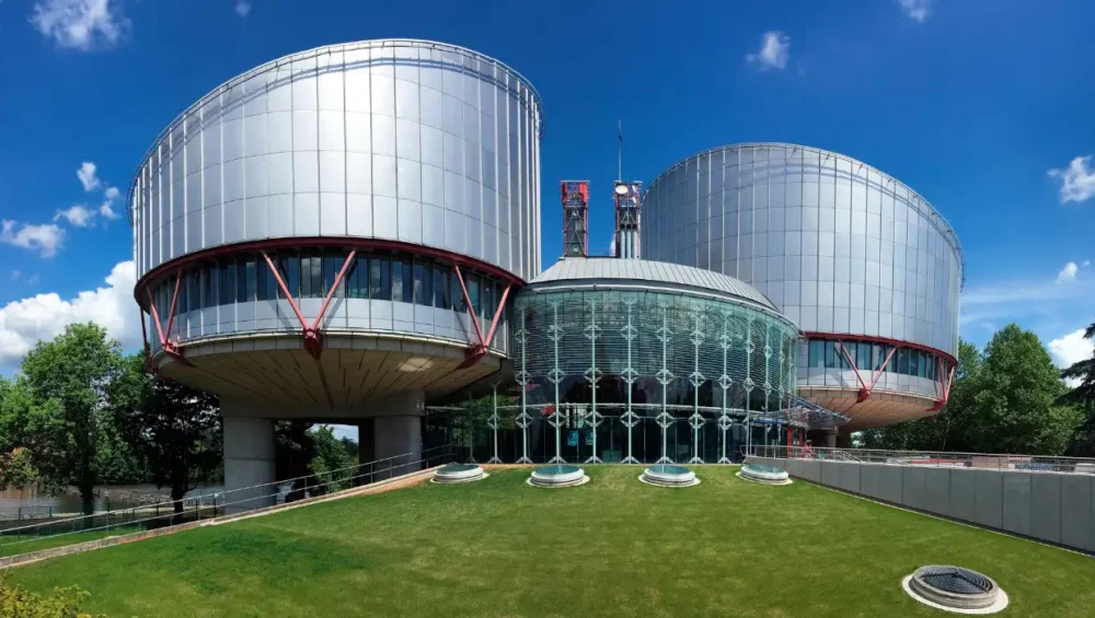 How Civil Society Shapes European Human Rights Law through Amicus Curiae Interventions?