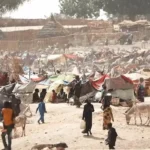 Chad Trafficking Crisis: Mullally's Reforms Amid Refugee Surges