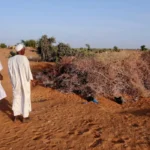 EU Parliament Pushes UAE Accountability Over Sudan War