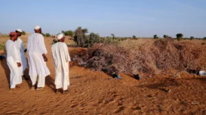 EU Parliament Pushes UAE Accountability Over Sudan War