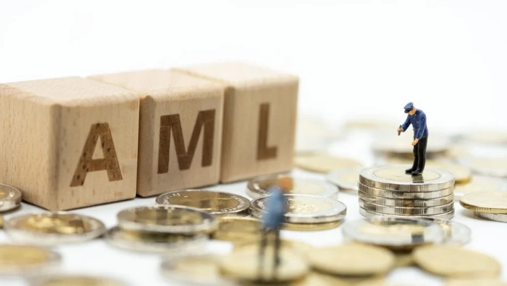 Fair Funding or Hidden Tax? Branch-Based AML Levies and UK Rental Market Dynamics