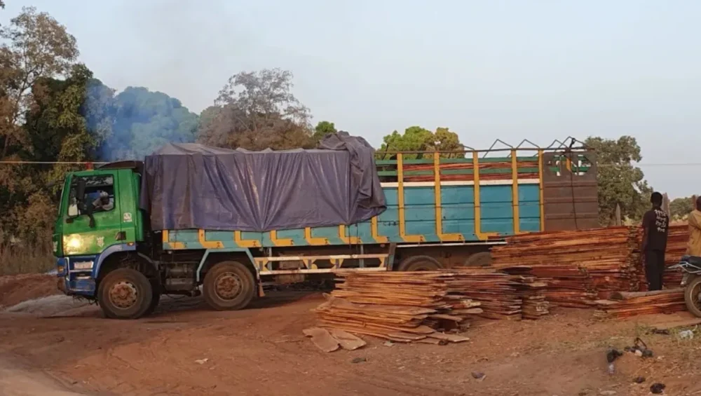 From forest reserves to frontlines: tracking timber money into terrorism