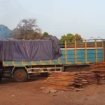 From forest reserves to frontlines: tracking timber money into terrorism