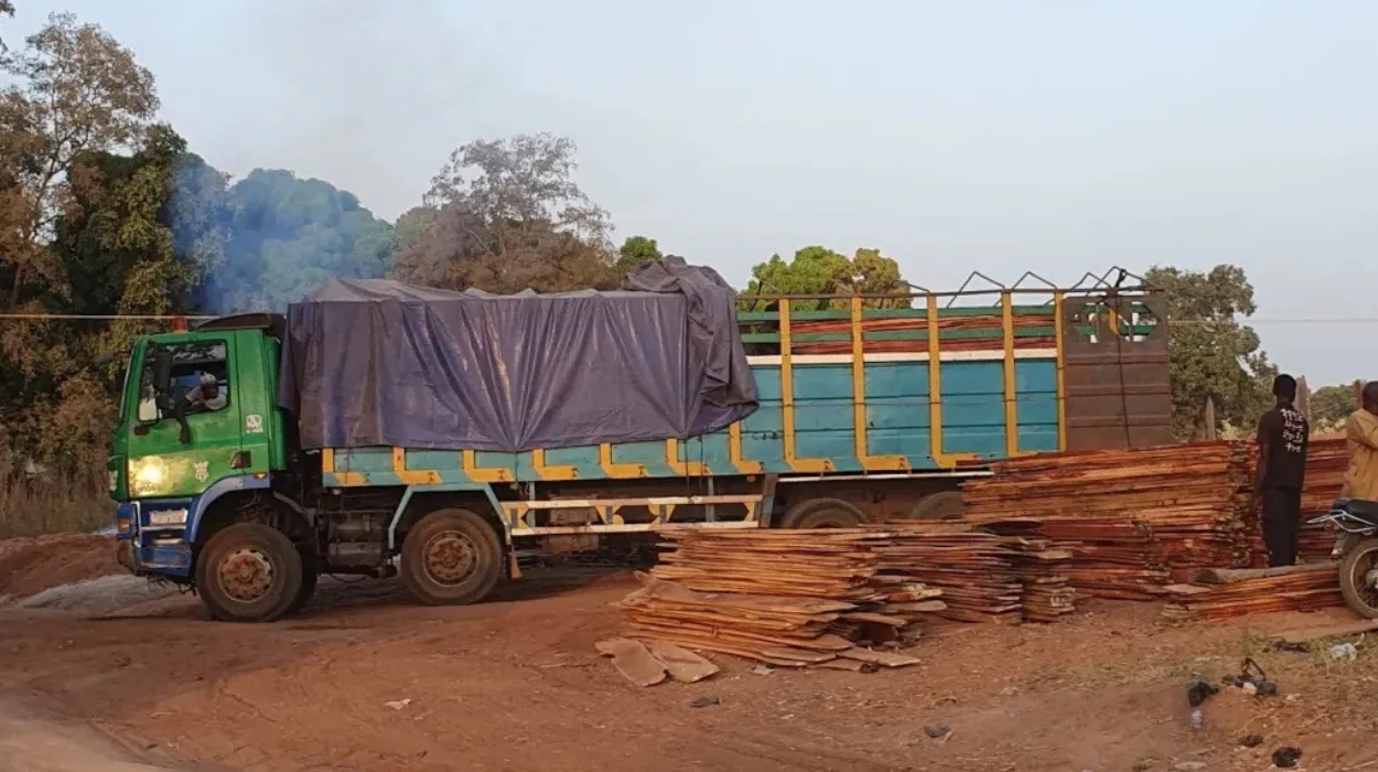 Tracking timber money into terrorism across West Africa