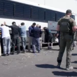 ICE’s “Law Enforcement” or human rights violations