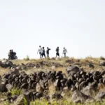Saudi Arabia Executes Five Ethiopian Migrants