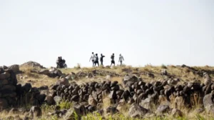 Saudi Arabia Executes Five Ethiopian Migrants
