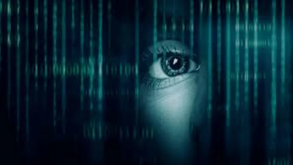 Social Media’s Dark Side: Trafficking Networks and Platform Responsibility