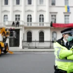 Strategic Amicus Briefs Freezing Kleptocrat Assets Through Legal Precision