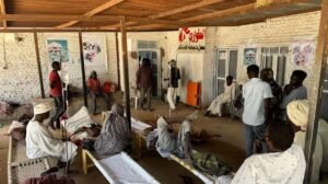 WCHR Condemns Inhumane Killings in Darfur’s El-Fasher Hospital and Urges Immediate International Action